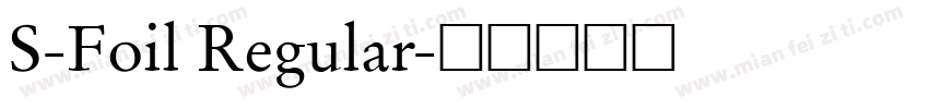 S-Foil Regular字体转换